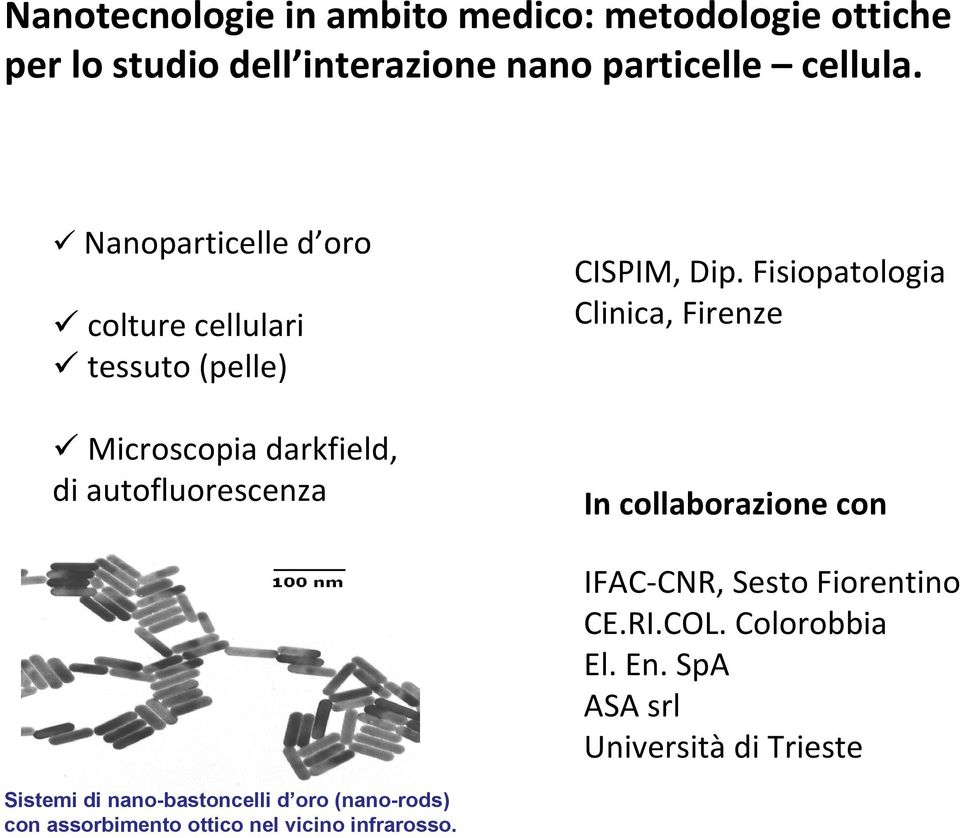 Dip. Fisiopatologia Clinica, Firenze IFAC CNR, Sesto Fiorentino CE.RI.COL. Colorobbia El. En.