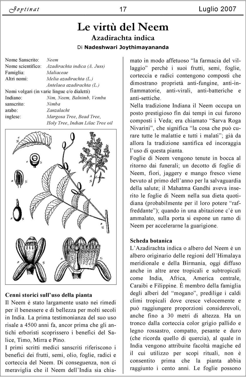 ) Nomi volgari (in varie lingue e/o dialetti) Indiano: Nim, Neem, Balnimb, Vembu sanscrito: Nimba arabo: Zanzalacht inglese: Margosa Tree, Bead Tree, Holy Tree, Indian Lilac Tree oil Cenni storici