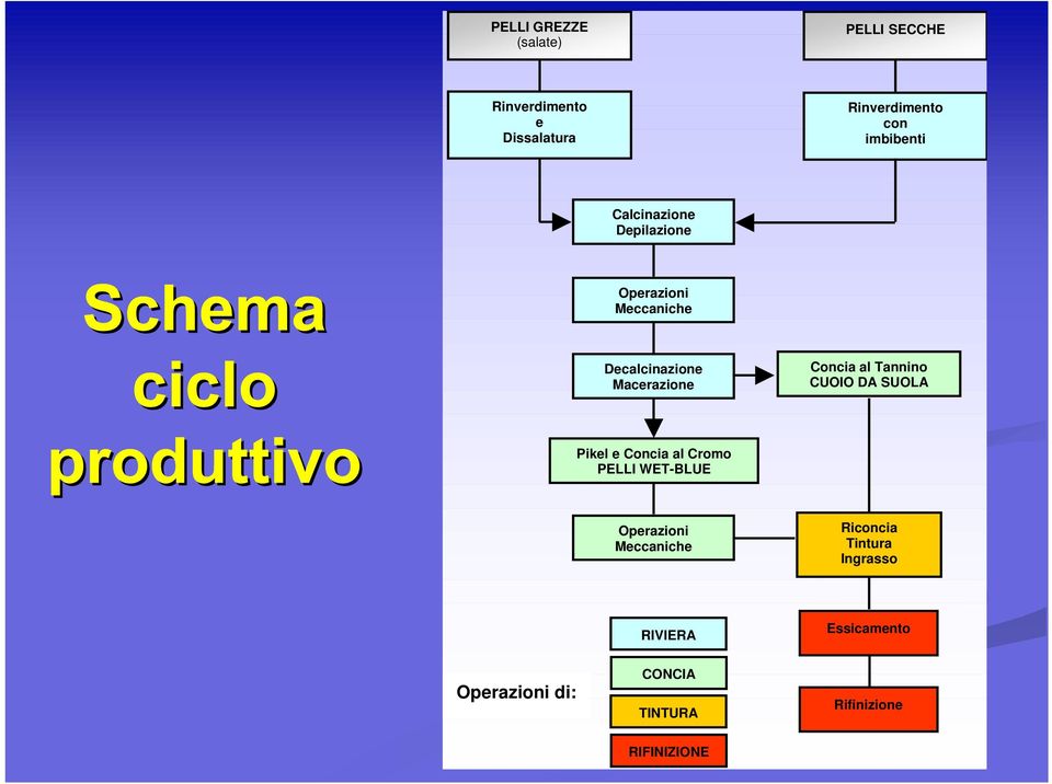 Concia al Tannino CUOIO DA SUOLA Pikel e Concia al Cromo PELLI WET-BLUE Operazioni