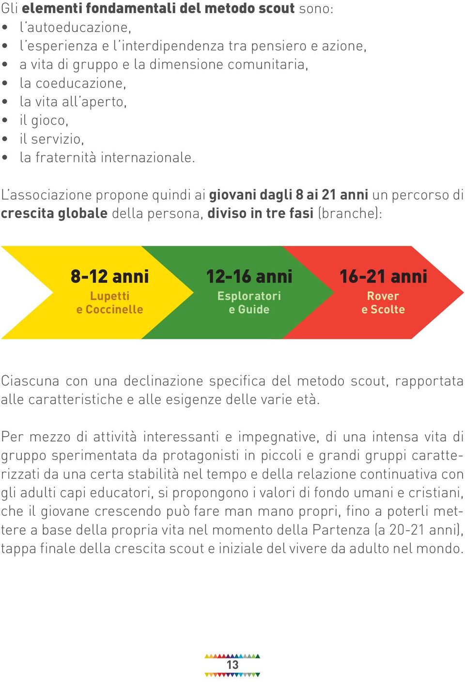 L associazione propone quindi ai giovani dagli 8 ai 21 anni un percorso di crescita globale della persona, diviso in tre fasi (branche): 8-12 anni Lupetti e Coccinelle 12-16 anni Esploratori e Guide