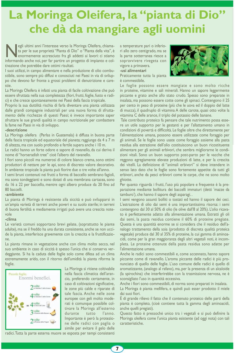 I suoi utilizzi, in campo alimentare e nella produzione di olio combustibile, sono sempre più diffusi e conosciuti nei Paesi in via di sviluppo che devono far fronte a grossi problemi di denutrizione