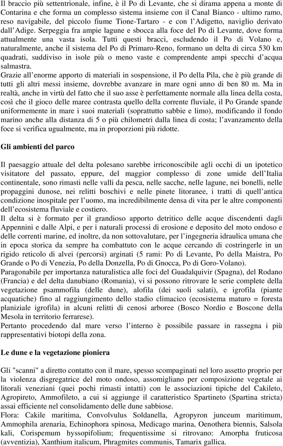 Tutti questi bracci, escludendo il Po di Volano e, naturalmente, anche il sistema del Po di Primaro-Reno, formano un delta di circa 530 km quadrati, suddiviso in isole più o meno vaste e comprendente