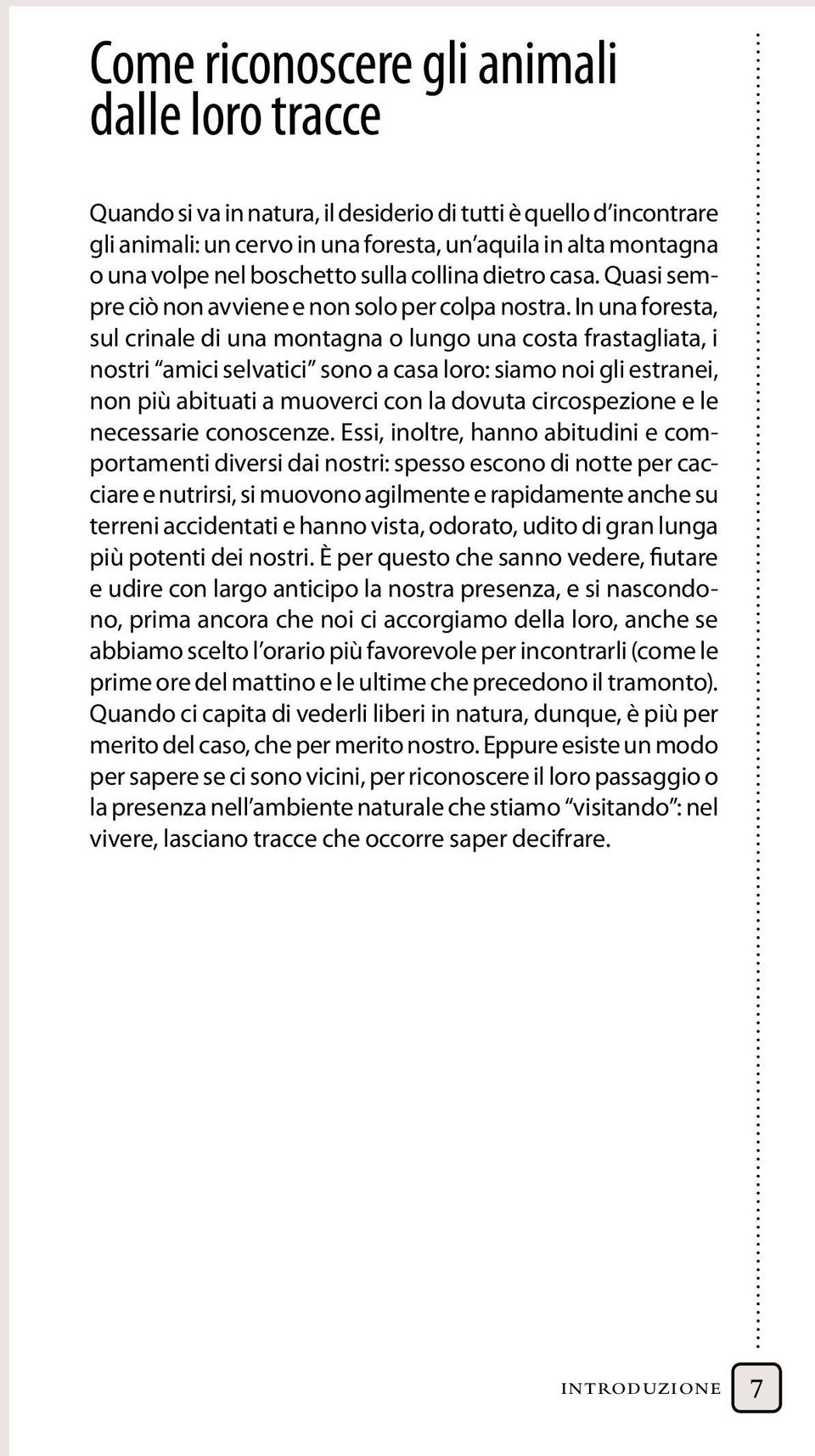 In una foresta, sul crinale di una montagna o lungo una costa frastagliata, i nostri amici selvatici sono a casa loro: siamo noi gli estranei, non più abituati a muoverci con la dovuta circospezione