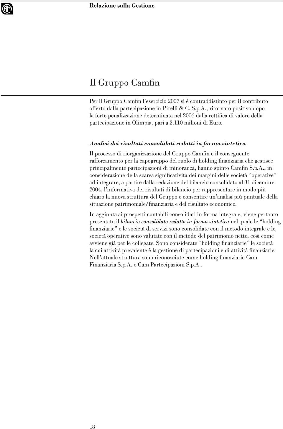 Analisi dei risultati consolidati redatti in forma sintetica Il processo di riorganizzazione del Gruppo Camfin e il conseguente rafforzamento per la capogruppo del ruolo di holding finanziaria che