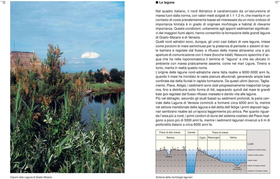 Queste condizioni; unitamente agli apporti sedimentari significativi dei maggiori fiumi alpini, hanno consentito la formazione delle grandi lagune di Grado-Marano e di Venezia.