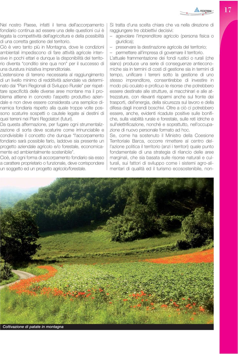 Ciò è vero tanto più in Montagna, dove le condizioni ambientali impediscono di fare attività agricole intensive in pochi ettari e dunque la disponibilità del territorio diventa conditio sine qua non