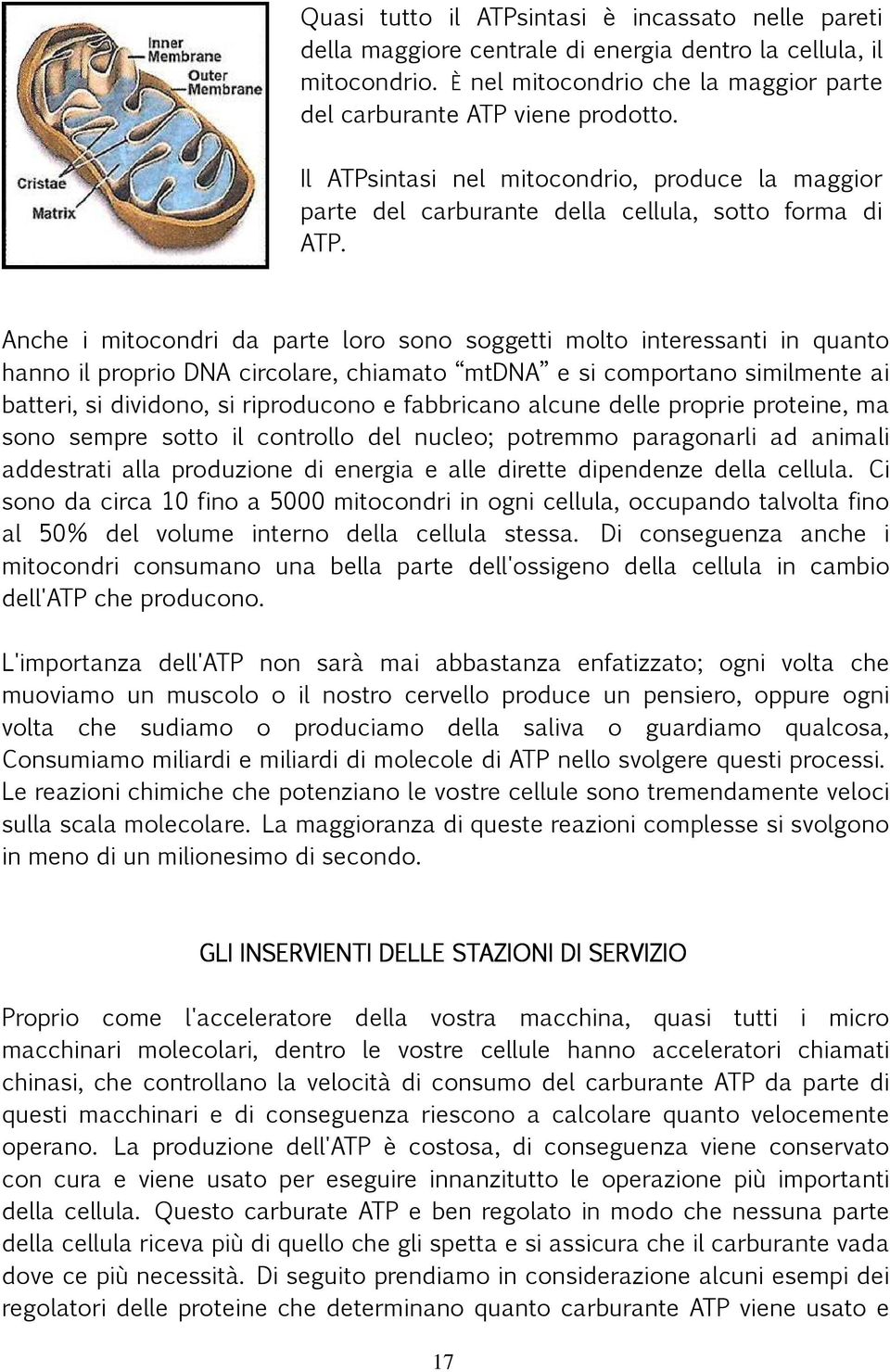 Anche i mitocondri da parte loro sono soggetti molto interessanti in quanto hanno il proprio DNA circolare, chiamato mtdna e si comportano similmente ai batteri, si dividono, si riproducono e