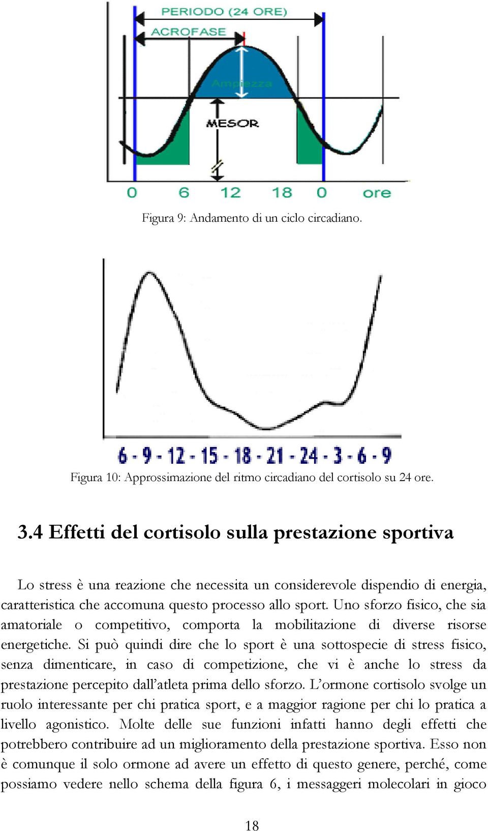 Uno sforzo fisico, che sia amatoriale o competitivo, comporta la mobilitazione di diverse risorse energetiche.