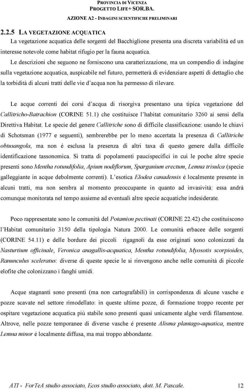 torbidità di alcuni tratti delle vie d acqua non ha permesso di rilevare. Le acque correnti dei corsi d acqua di risorgiva presentano una tipica vegetazione del Callitricho-Batrachion (CORINE 51.