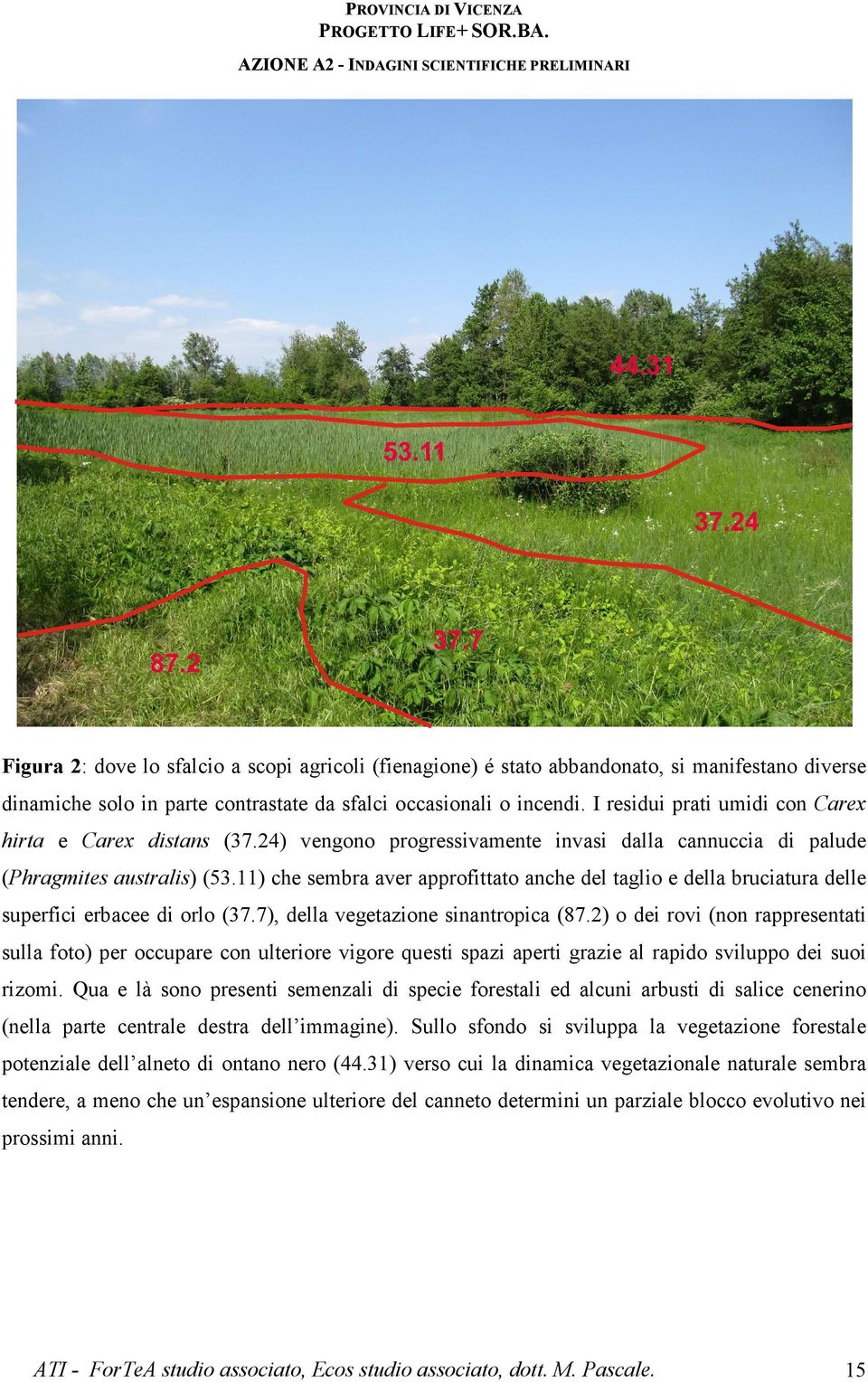 11) che sembra aver approfittato anche del taglio e della bruciatura delle superfici erbacee di orlo (37.7), della vegetazione sinantropica (87.