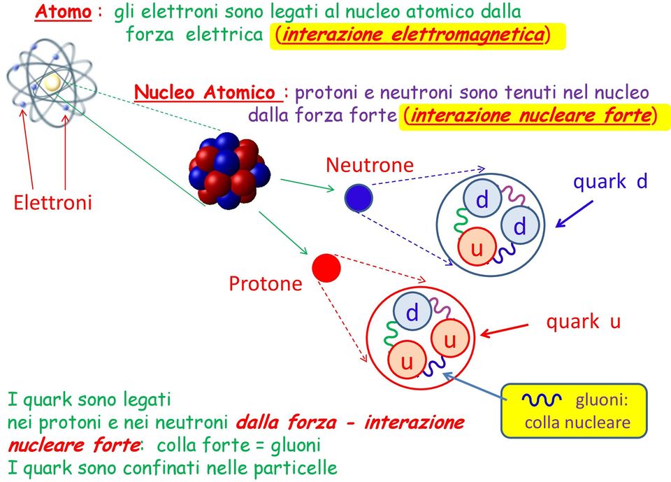 Elettroni Protone Neutrone I quark sono legati nei protoni e nei neutroni dalla forza - interazione nucleare