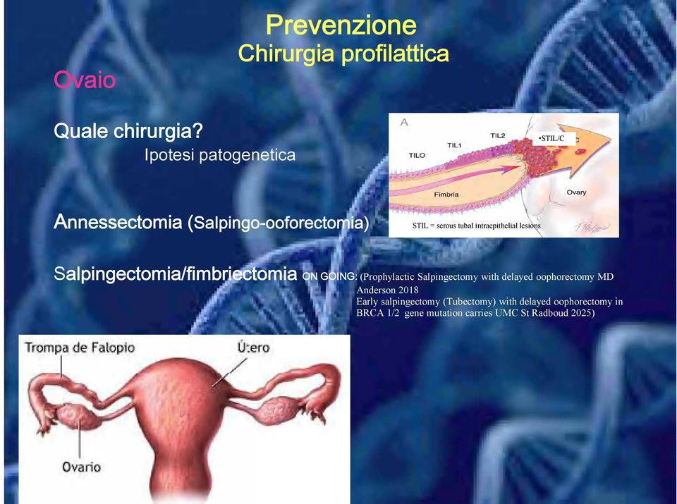 intraepithelial lesions Salpingectomia/fimbriectomia ON GOING: (Prophylactic Salpingectomy with