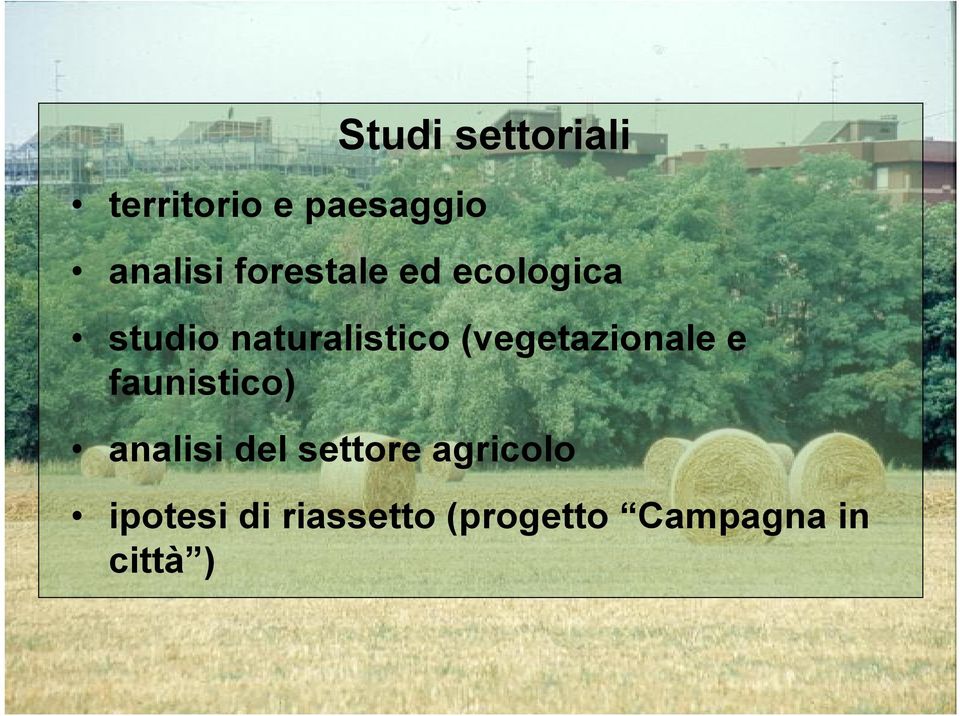 (vegetazionale e faunistico) analisi del settore