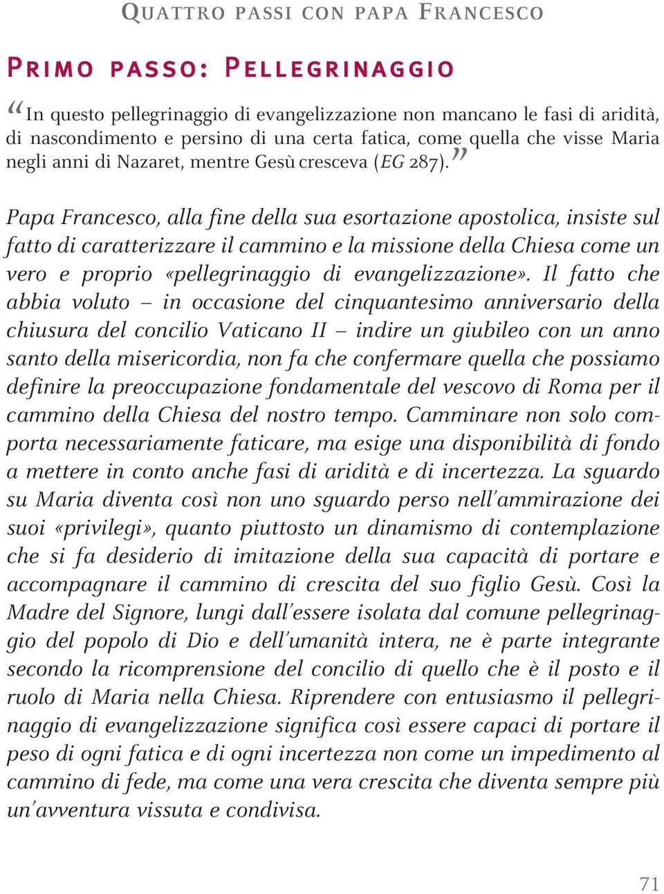 Papa Francesco, alla fine della sua esortazione apostolica, insiste sul fatto di caratterizzare il cammino e la missione della Chiesa come un vero e proprio «pellegrinaggio di evangelizzazione».