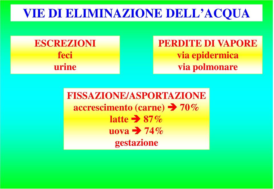 via polmonare FISSAZIONE/ASPORTAZIONE