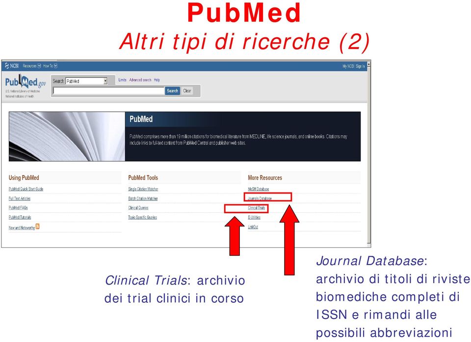 Database: archivio di titoli di riviste biomediche