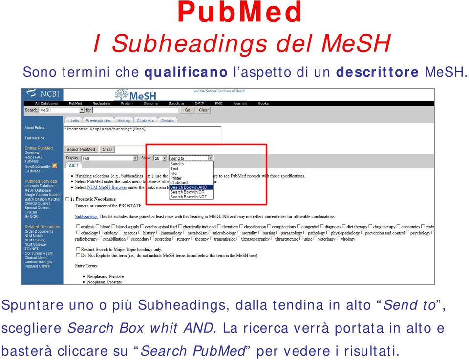 Spuntare uno o più Subheadings, dalla tendina in alto Send to,