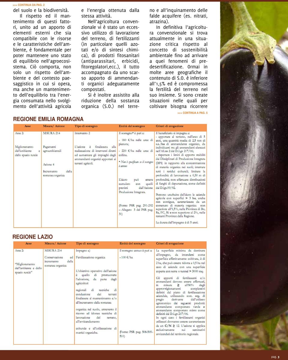 stato di equilibrio nell agroecosistema.