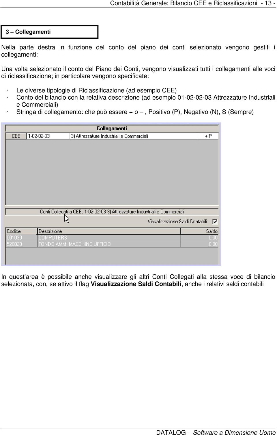 esempio CEE) Conto del bilancio con la relativa descrizione (ad esempio 01-02-02-03 Attrezzature Industriali e Commerciali) Stringa di collegamento: che può essere + o, Positivo (P), Negativo (N), S