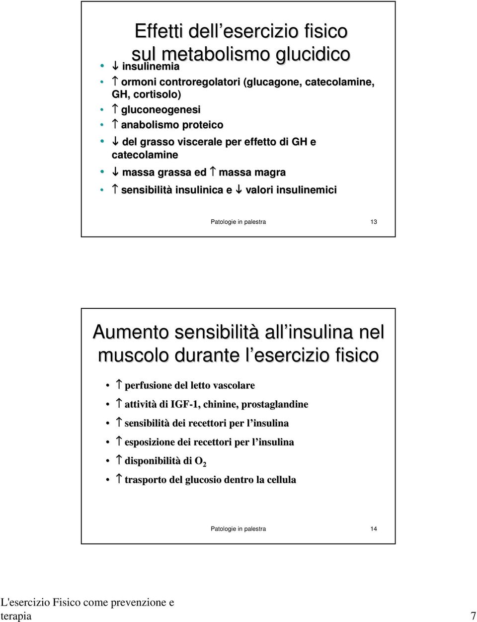 palestra 13 Aumento sensibilità all insulina nel muscolo durante l esercizio l fisico perfusione del letto vascolare attività di IGF-1, chinine, prostaglandine