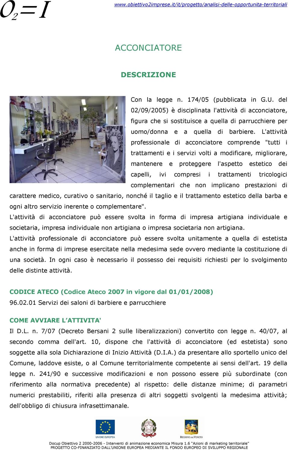 L'attività professionale di acconciatore comprende "tutti i trattamenti e i servizi volti a modificare, migliorare, mantenere e proteggere l'aspetto estetico dei capelli, ivi compresi i trattamenti