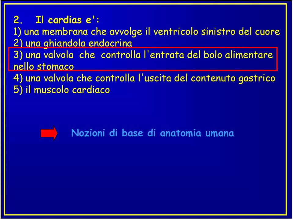 del bolo alimentare nello stomaco 4) una valvola che controlla l'uscita