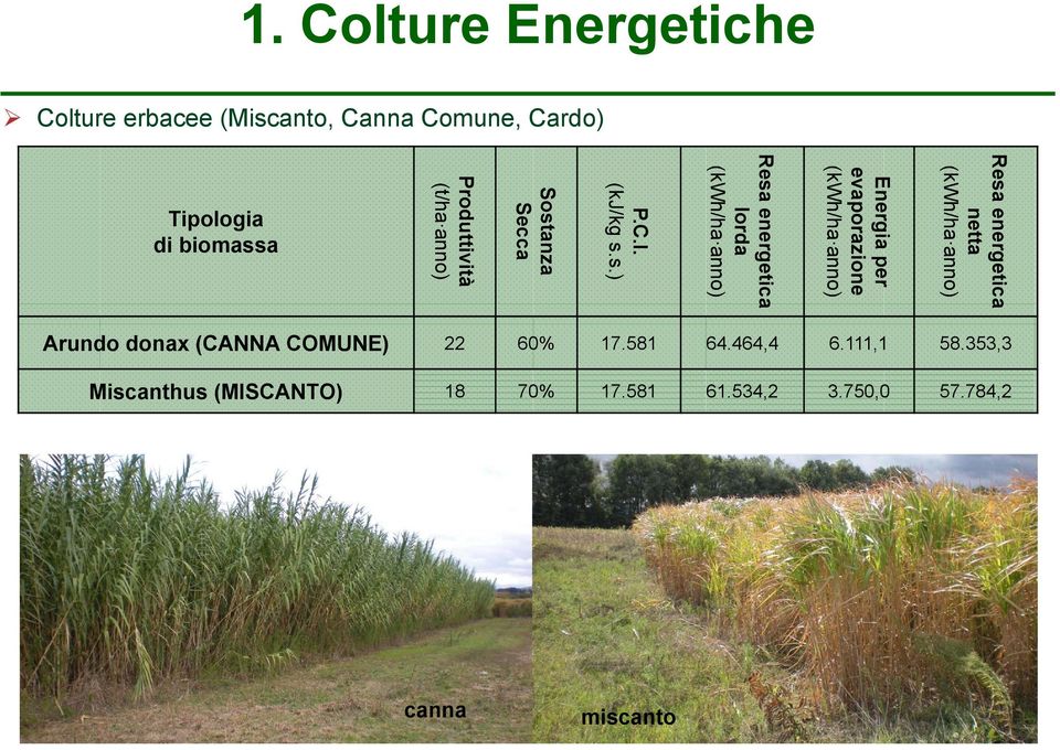 energetica lorda (kwh/ha anno) P.C.I. (kj/kg s.