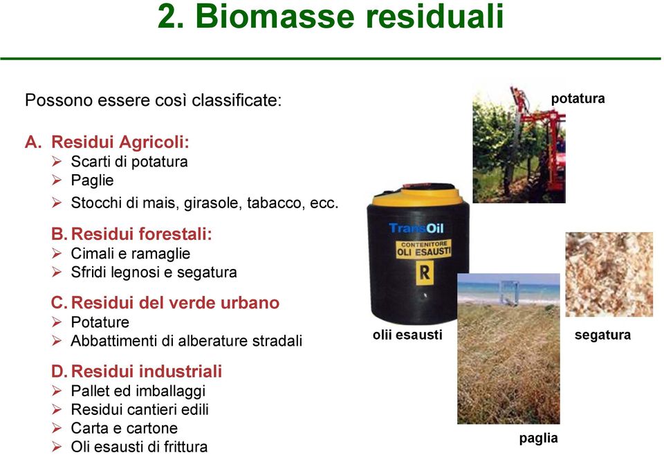 Residui forestali: Cimali e ramaglie Sfridi legnosi e segatura C.