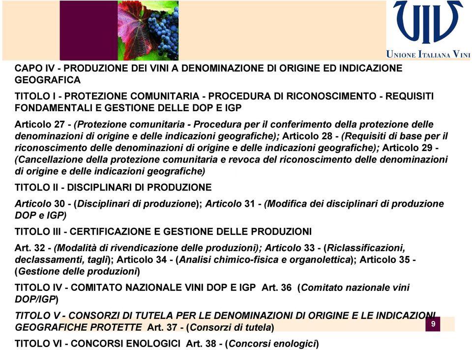 riconoscimento delle denominazioni di origine e delle indicazioni geografiche); Articolo 29 - (Cancellazione della protezione comunitaria e revoca del riconoscimento delle denominazioni di origine e