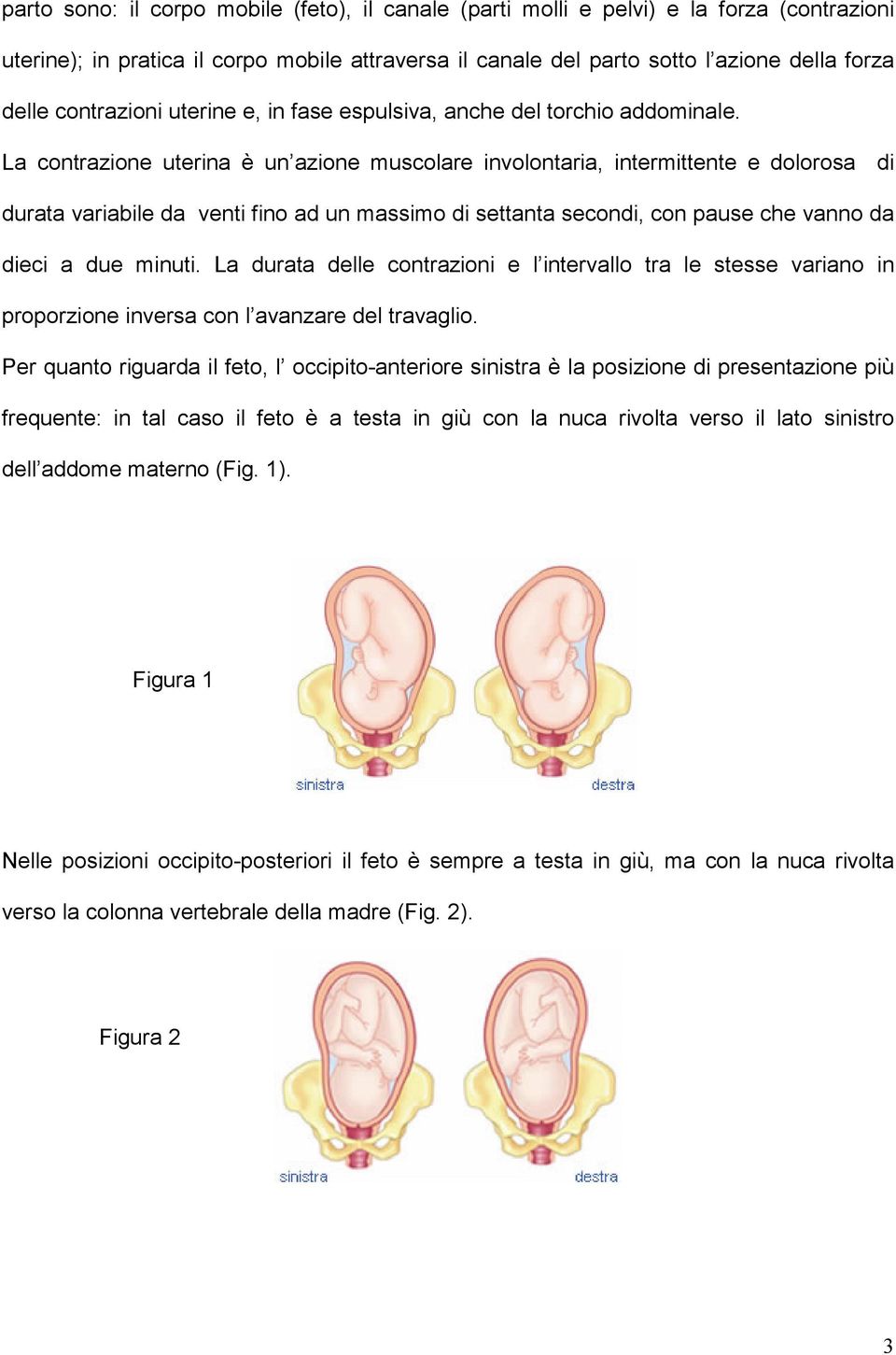 La contrazione uterina è un azione muscolare involontaria, intermittente e dolorosa di durata variabile da venti fino ad un massimo di settanta secondi, con pause che vanno da dieci a due minuti.