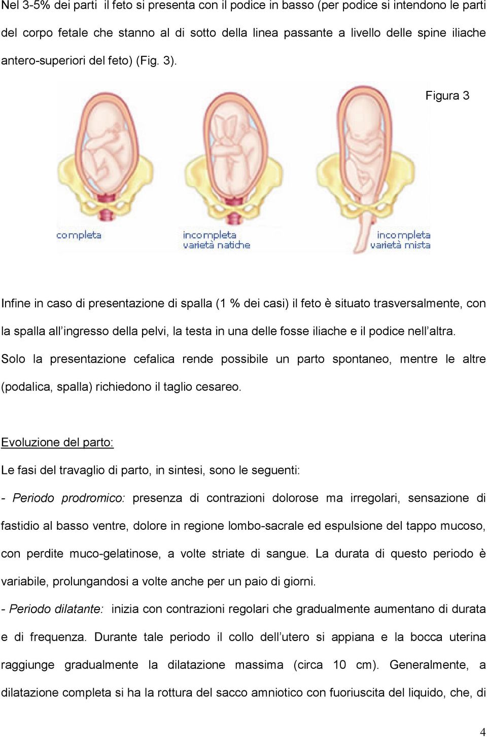 Figura 3 Infine in caso di presentazione di spalla (1 % dei casi) il feto è situato trasversalmente, con la spalla all ingresso della pelvi, la testa in una delle fosse iliache e il podice nell altra.