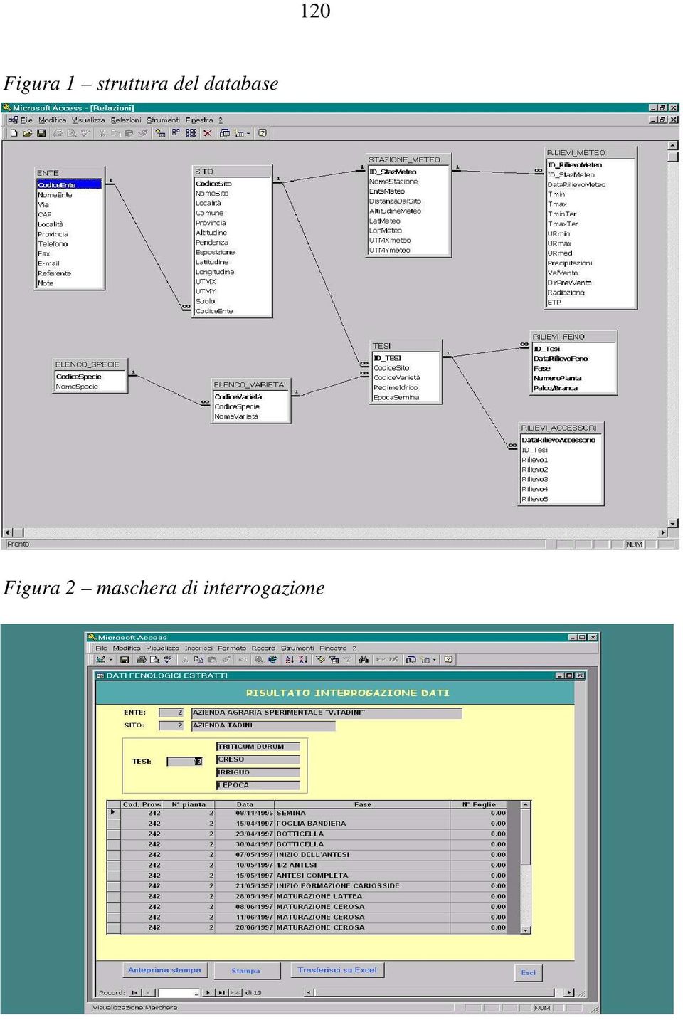 database Figura 2