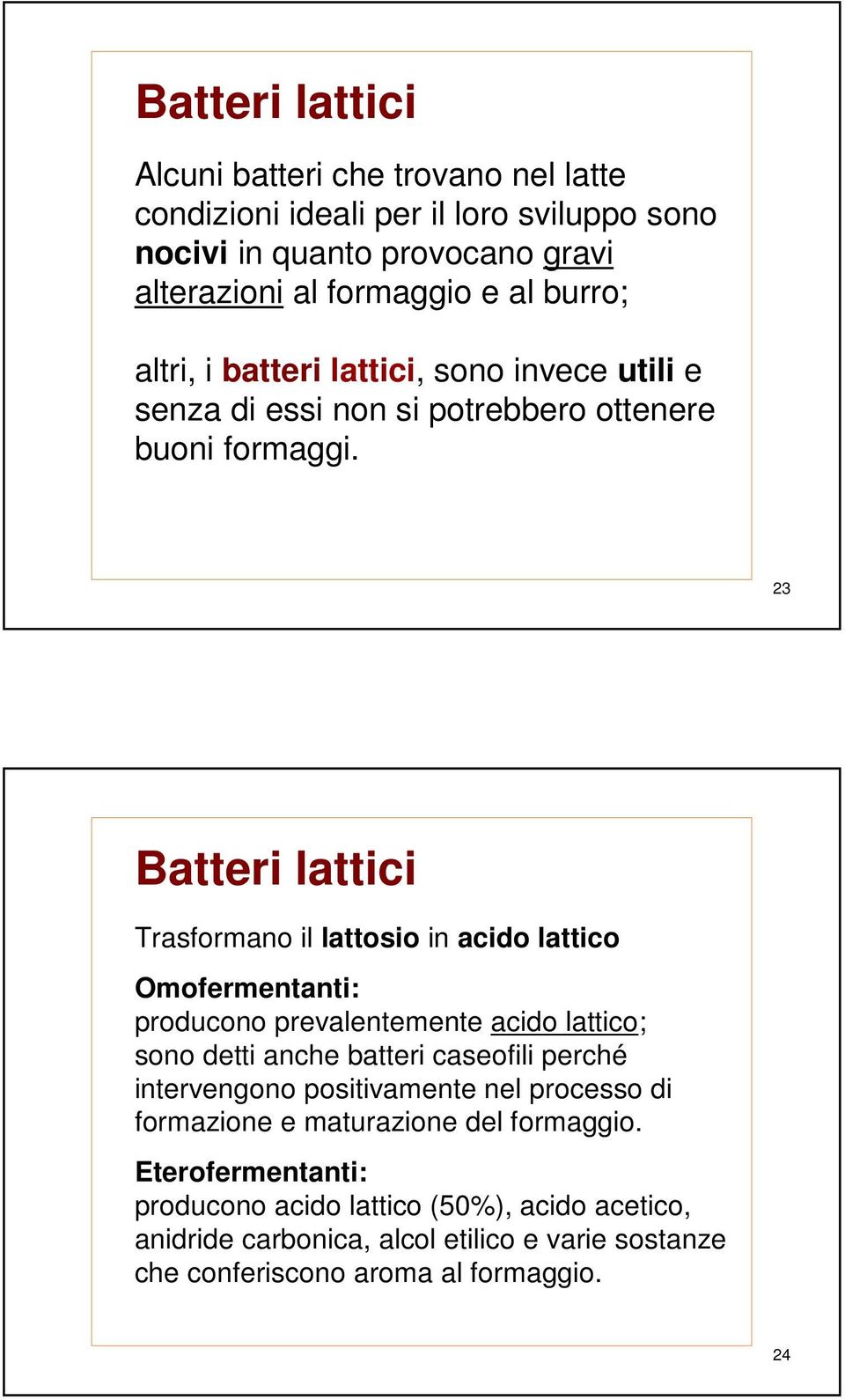 23 Batteri lattici Trasformano il lattosio in acido lattico Omofermentanti: producono prevalentemente acido lattico; sono detti anche batteri caseofili perché