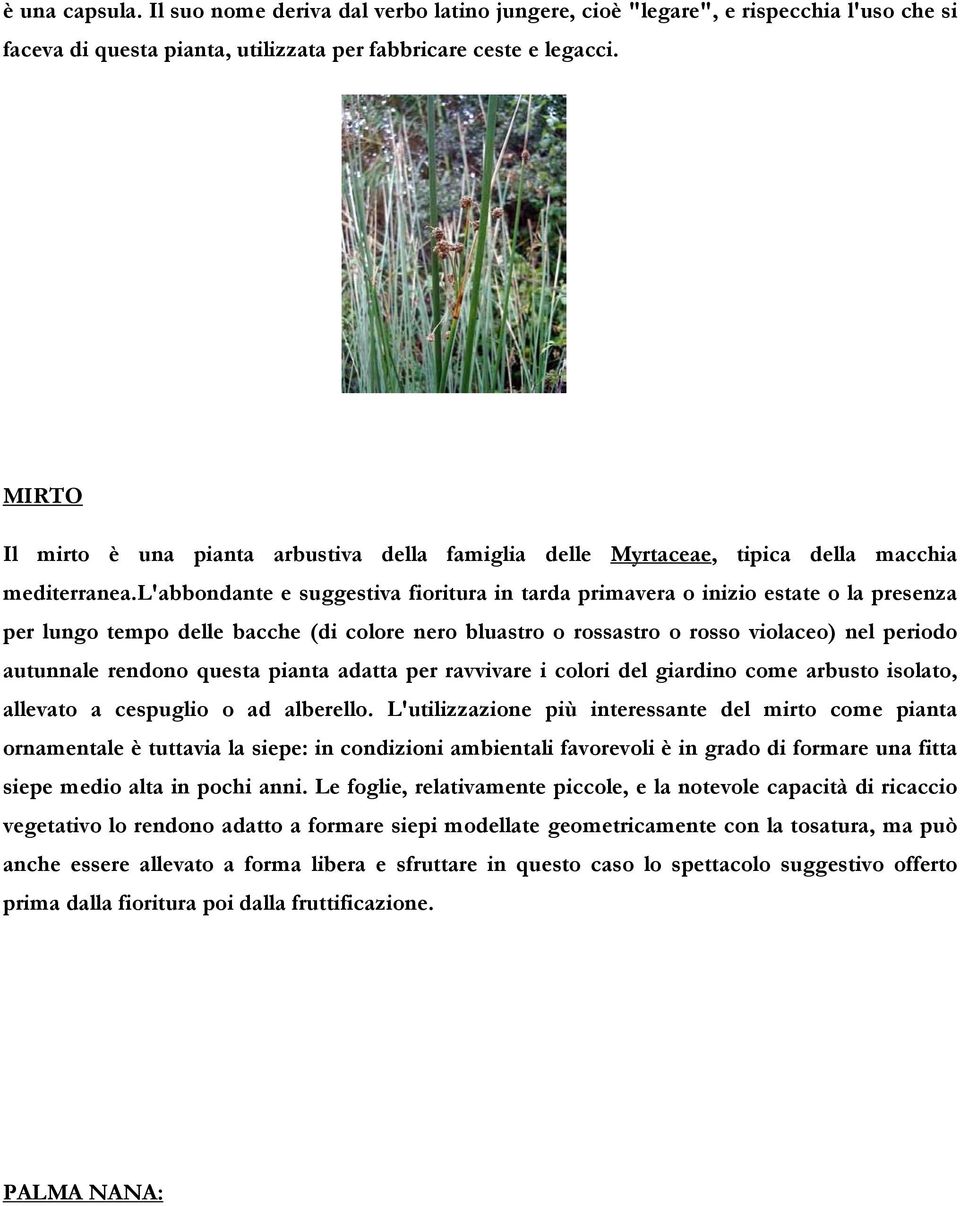 l'abbondante e suggestiva fioritura in tarda primavera o inizio estate o la presenza per lungo tempo delle bacche (di colore nero bluastro o rossastro o rosso violaceo) nel periodo autunnale rendono