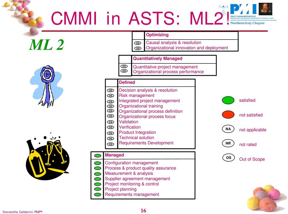 Decision analysis & resolution Risk management Integrated project management Organizational training Organizational process definition Organizational process focus Validation