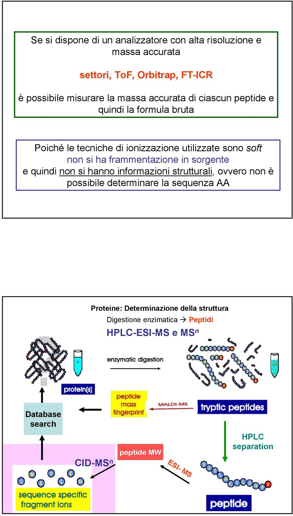 frammentazione in sorgente e quindi non si hanno informazioni strutturali, ovvero non è possibile determinare la sequenza AA