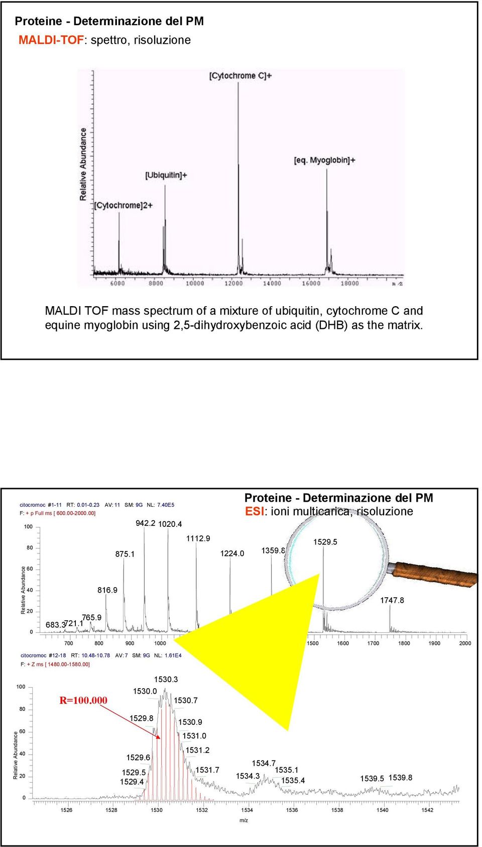 Proteine - Determinazione del PM ESI: ioni multicarica, risoluzione 1359.8 1529.5 6 4 2 765.9 683.3721.1 816.9 1747.8 7 8 9 1 11 12 13 14 15 16 17 18 19 2 citocromoc #12-18 RT: 1.