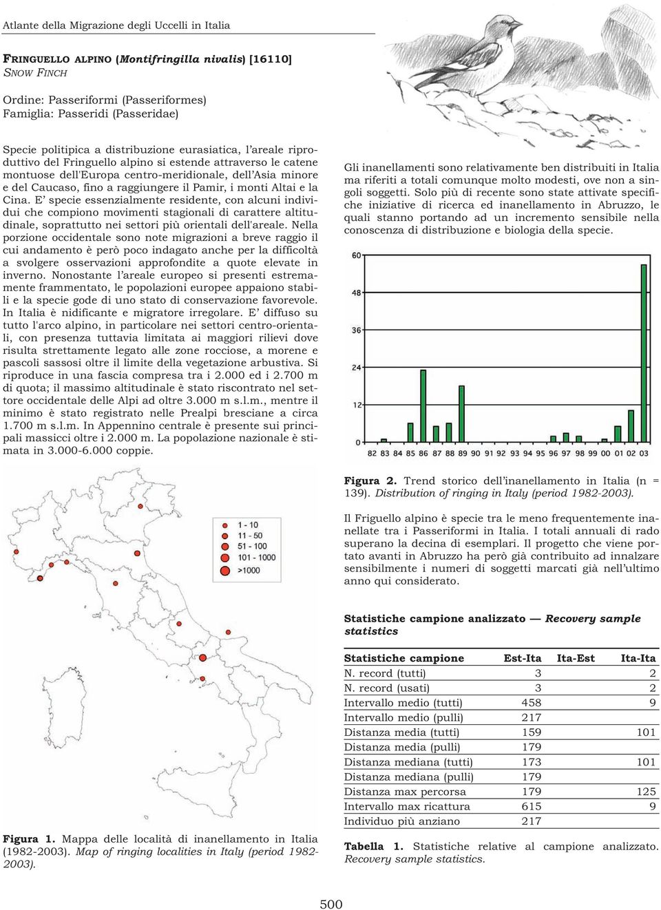 Pamir, i monti Altai e la Cina. E specie essenzialmente residente, con alcuni individui che compiono movimenti stagionali di carattere altitudinale, soprattutto nei settori più orientali dell'areale.