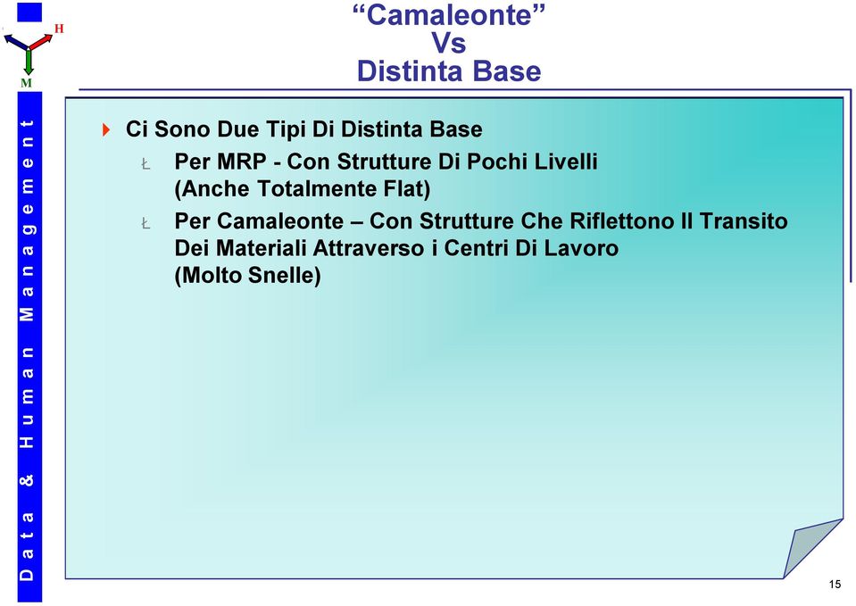 Flat) Per Camaleonte Con Strutture Che Riflettono Il