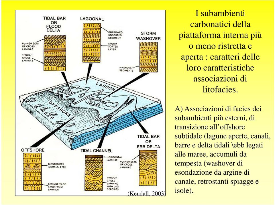 (Kendall, 2003) A) Associazioni di facies dei subambienti più esterni, di transizione all offshore