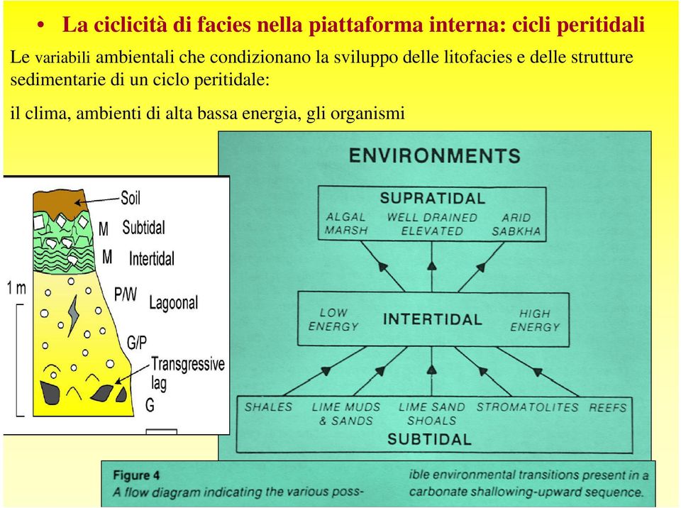 sviluppo delle litofacies e delle strutture sedimentarie di