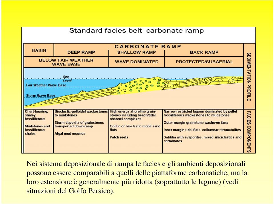 piattaforme carbonatiche, ma la loro estensione è generalmente