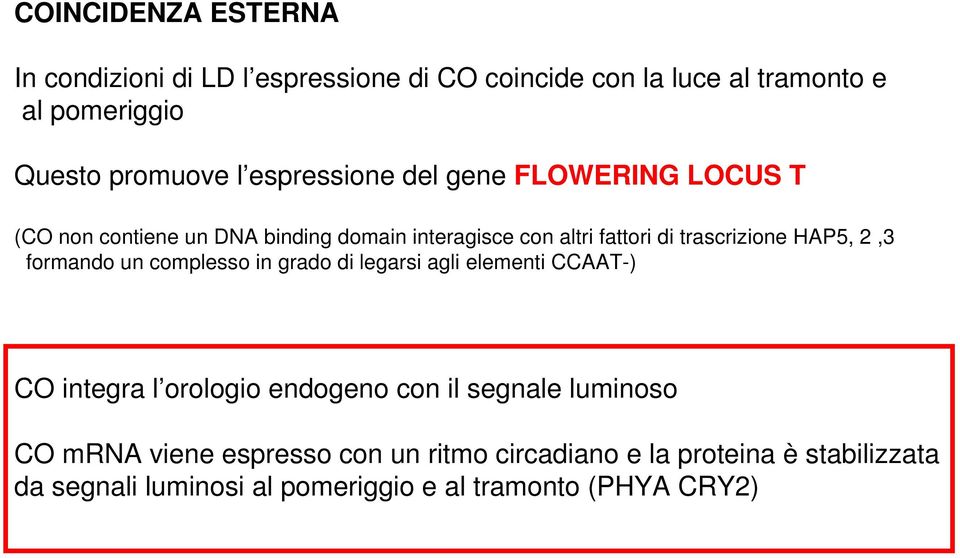 HAP5, 2,3 formando un complesso in grado di legarsi agli elementi CCAAT-) CO integra l orologio endogeno con il segnale luminoso