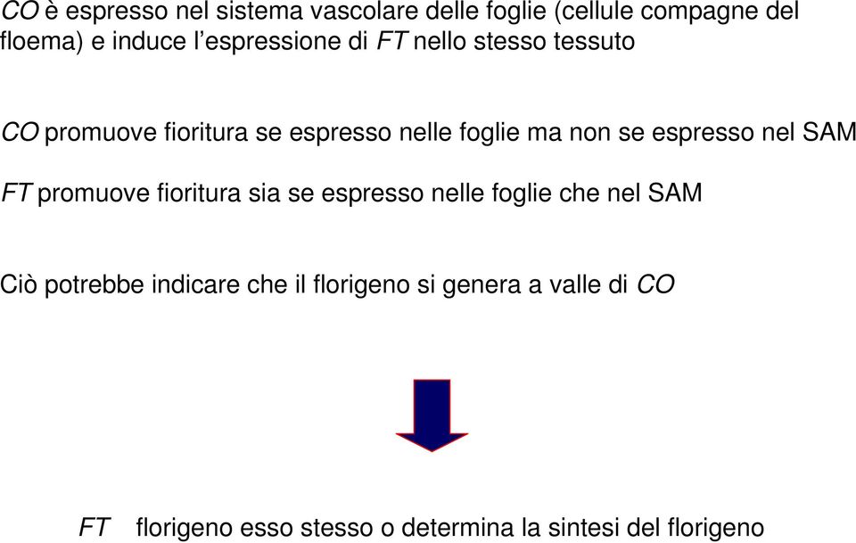 espresso nel SAM FT promuove fioritura sia se espresso nelle foglie che nel SAM Ciò potrebbe