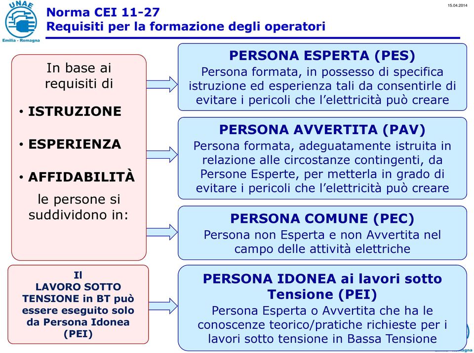 circostanze contingenti, da Persone Esperte, per metterla in grado di evitare i pericoli che l elettricità può creare PERSONA COMUNE (PEC) Persona non Esperta e non Avvertita nel campo delle attività