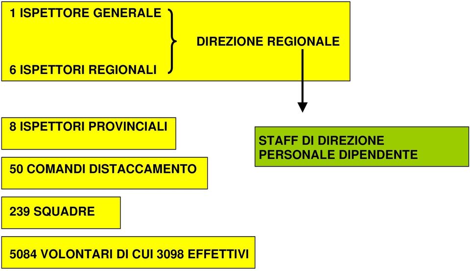 COMANDI DISTACCAMENTO STAFF DI DIREZIONE