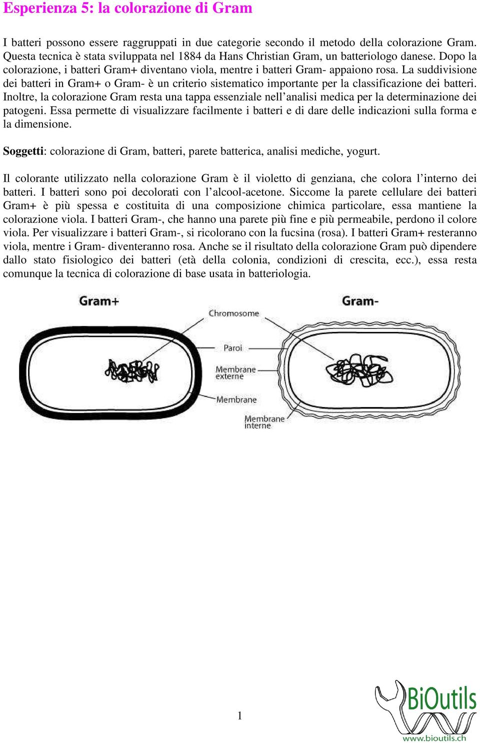 La suddivisione dei batteri in Gram+ o Gram- è un criterio sistematico importante per la classificazione dei batteri.