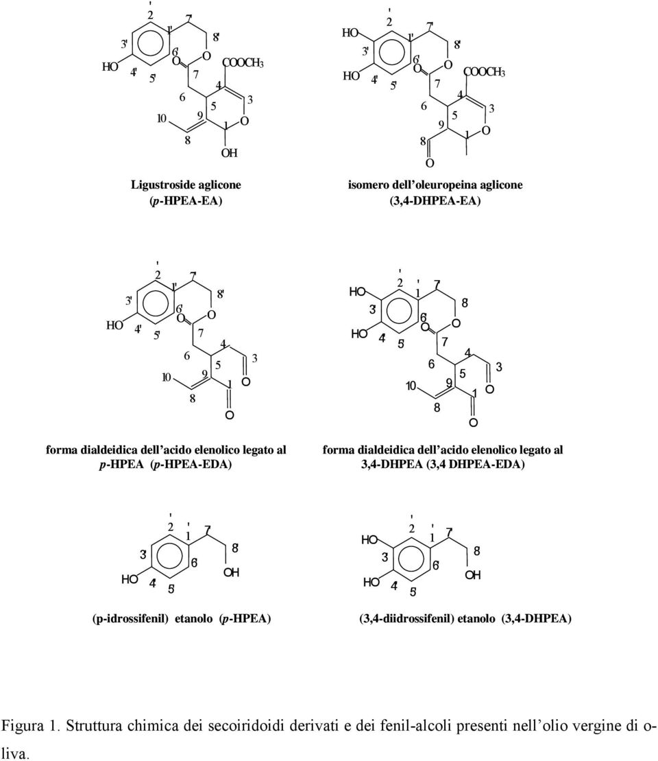 p-hpea (p-hpea-eda) forma dialdeidica dell acido elenolico legato al 3,4-DHPEA (3,4 DHPEA-EDA) 3' H 4' 2 ' 1 ' 7' 2 ' H 1 ' 8' 6' 3' 6' H H 5' 4' 5' 7' 8' H