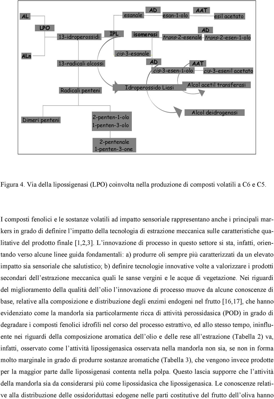 Via della lipossigenasi (LP) coinvolta nella produzione di composti volatili a C6 e C5.