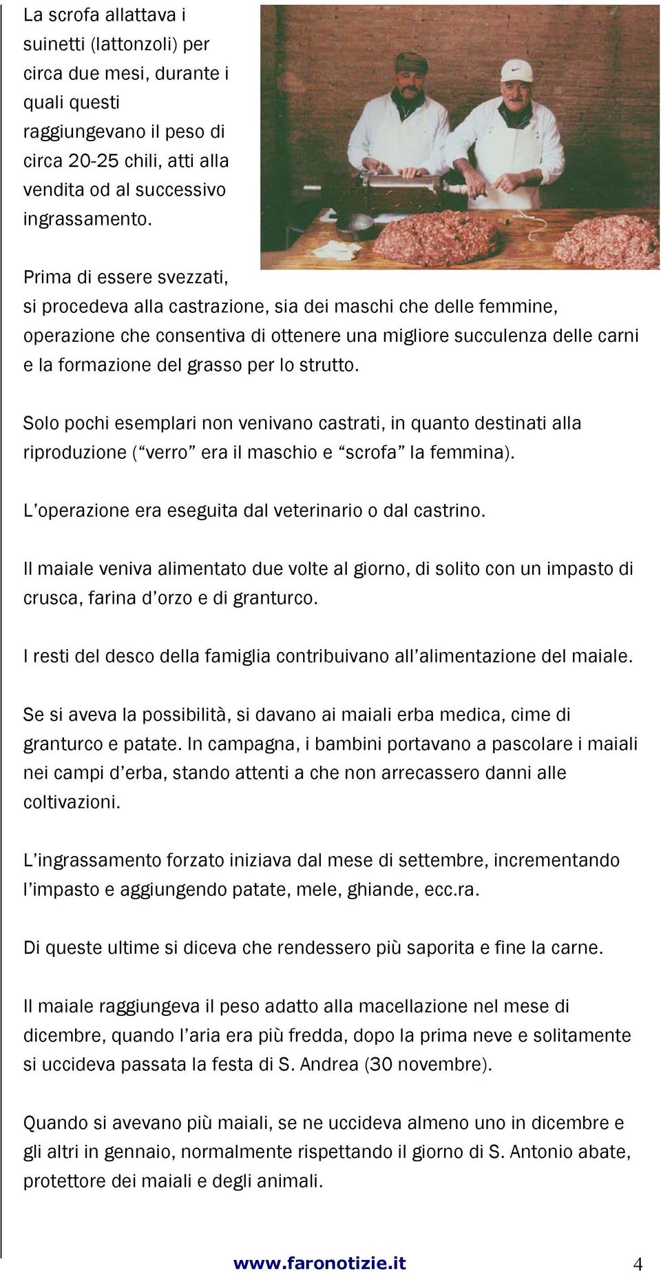 strutto. Solo pochi esemplari non venivano castrati, in quanto destinati alla riproduzione ( verro era il maschio e scrofa la femmina). L operazione era eseguita dal veterinario o dal castrino.